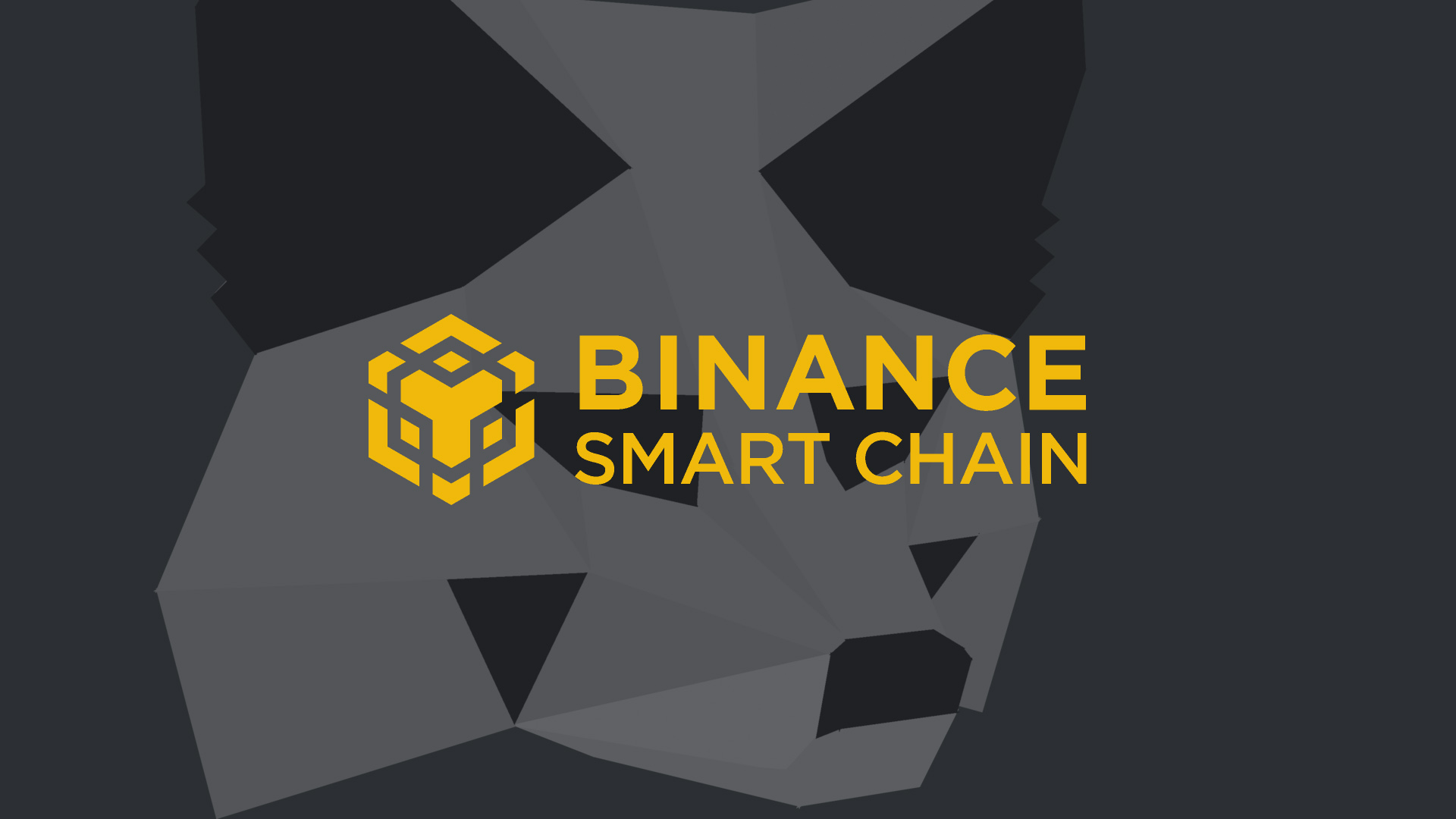 Adición de la Binance Smart Chain a Metamask